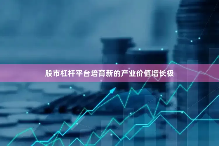 股市杠杆平台培育新的产业价值增长极