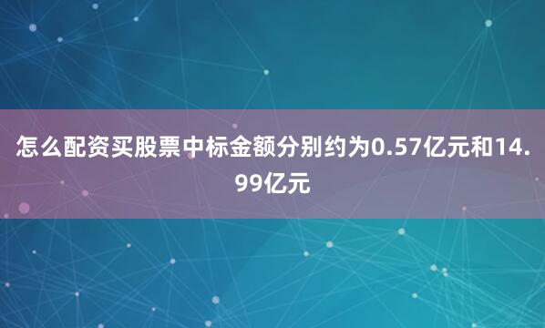 怎么配资买股票中标金额分别约为0.57亿元和14.99亿元