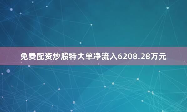 免费配资炒股特大单净流入6208.28万元