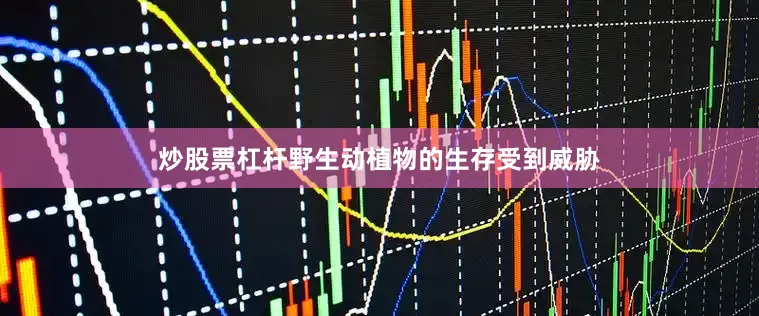 炒股票杠杆野生动植物的生存受到威胁